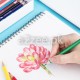 Deli Stationery - Color Pencil (36 colors)